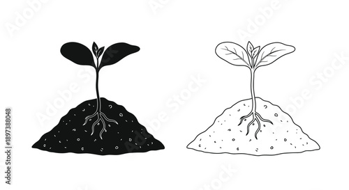 Two contrasting depictions of a sprouting plant one dark and one light