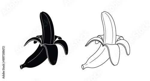 Two bananas one dark one light both partially peeled