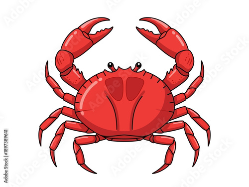 A vibrant red crab illustration viewed from the front, showcasing its claws and legs in detail.