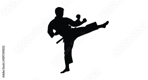 Silhouette of a martial artist performing a dynamic kick