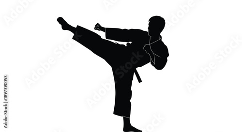 Silhouette of a martial artist performing a dynamic kick in a karate stance