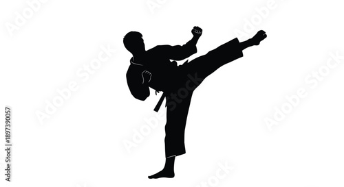 Silhouette of a martial artist performing a dynamic kick against a white backdrop