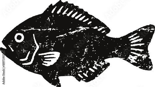 Black silhouette of a fish with detailed fins and scales illustration on white background