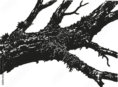 Silhouette of textured tree branch with rough bark and small leaves isolated on white background