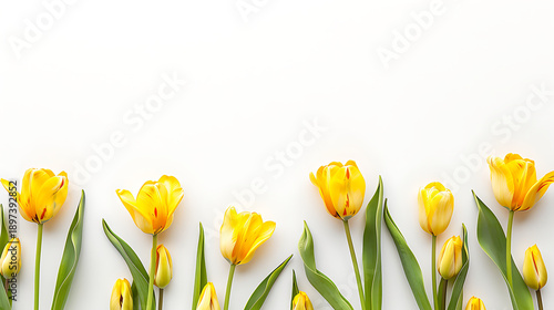 Elegant Yellow Tulip Flower Border Design