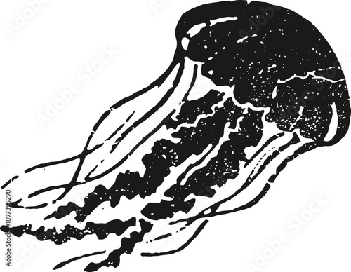 Jellyfish illustration in black and white, underwater marine animal with flowing tentacles