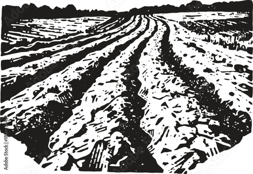 Plowed agricultural field with soil furrows ready for planting crops in rural landscape
