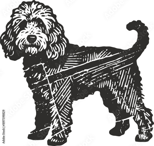 black and white sketch of a standing dog with curly fur and wagging tail, vintage drawing