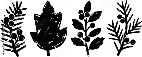 Black ink botanical silhouettes of leaves and berries in vintage grunge