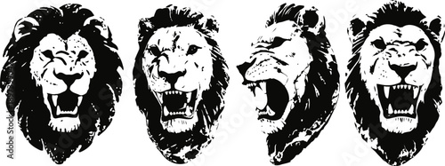 lion head silhouettes set four black and white roaring lion faces with manes in different angles and expressions