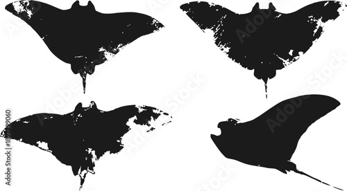 Silhouettes of four bats flying in different wing positions isolated on white background