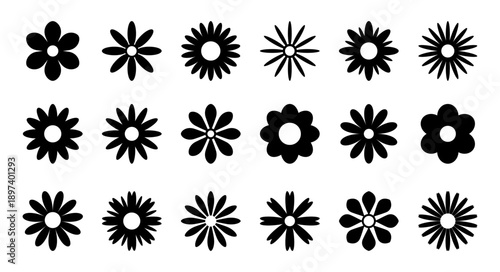 A set of black and white icons of isolated colors on a white background, a simple vector illustration. Graphic floral element for decoration and design. Decorative botanical, floral forms