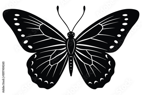 butterfly-insect-animal-engraving-vector.eps