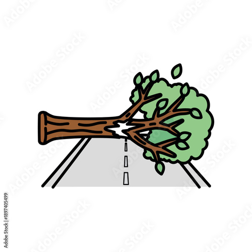 A tree branch falls across a road during a stormy weather event suddenly.