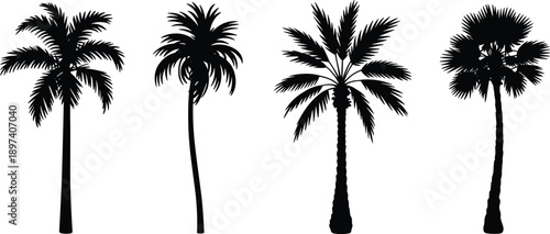 Black palm tree silhouette set isolated on white background for tropical landscape design, summer decoration, nature illustration and minimalist outdoor graphic elements
