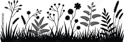 Black wild grass and flower silhouettes forming meadow landscape border isolated on white background, natural botanical scene for eco design, spring themes, decoration, and vector illustration