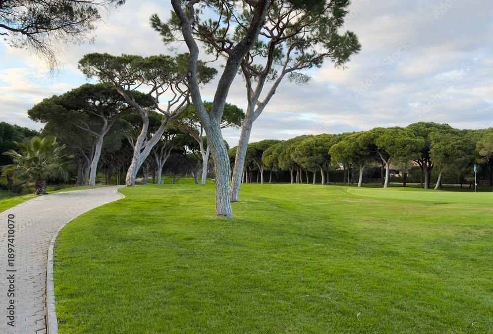 Obraz premium Beautiful green golf course landscape with winding path.