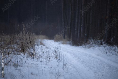 Bilde på lerret A forest road near a clearing in Central Europe covered in snow and ice - Februa