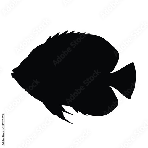 Solid black silhouette of tropical fish swimming sideways showing unique body shape and fin structure for nature education materials aquarium shop branding marine biological research documentation