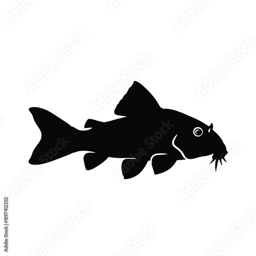 Catfish silhouette illustration showing fins and whiskers for aquarium hobbyist branding or fishing industry graphic design elements isolated on white background professional animal icon vector art