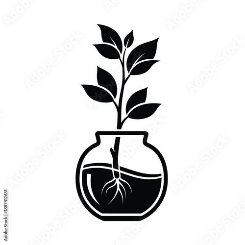Illustration showing plant in a vase design idea, black and white minimal graphic design for botany, plant with roots icon or logo, element isolated on white background