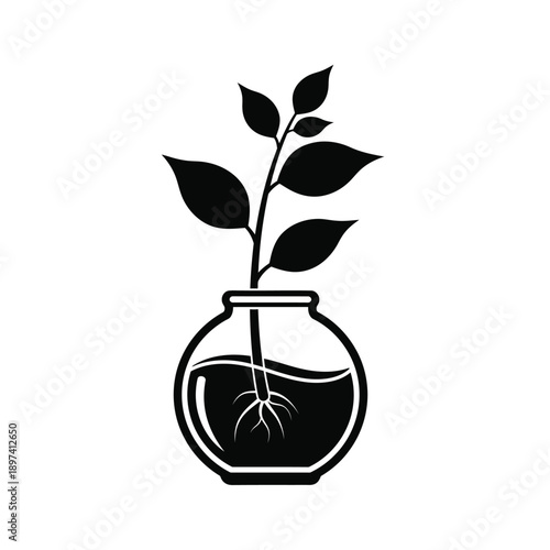 Illustration showing plant in a vase design idea, black and white minimal graphic design for botany, plant with roots icon or logo, element isolated on white background