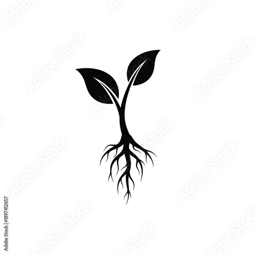 Plant seedling with deep root system silhouette icon on white background symbolizing growth and development organic farm sprout sign nature element ecological life cycle concept gardening seedling