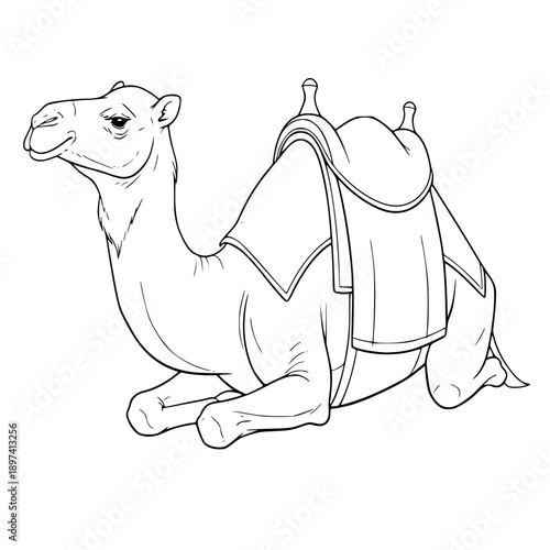Camel Sitting in Desert Illustration, Arabian Dromedary Animal for Hajj and Umrah Journey, Middle East Landmark Symbol Line Art for Ramadan and Eid