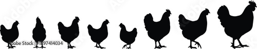 Chicken Silhouettes in Progressive Sizes