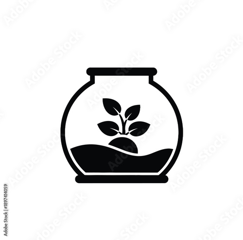 Glass bowl with plant growing in water, aquarium for plant, aquatic plant, hydroponics, simple decoration, isolated on white.