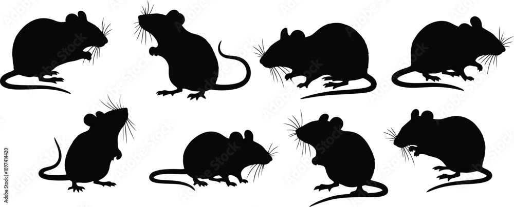 Obraz premium Eight Black Mice Silhouettes on White