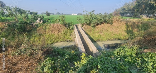 Traditional water management system in a scenic rural landscape of Haryana India