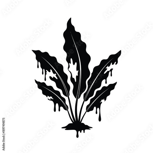 Plant with dripping liquid leaves representing concepts like irrigation overwatering pollution or plant degradation