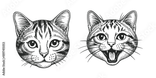 Cat head in witch hat, black and white collage illustration with retro texture, two fluffy dogs facing forward sketch.