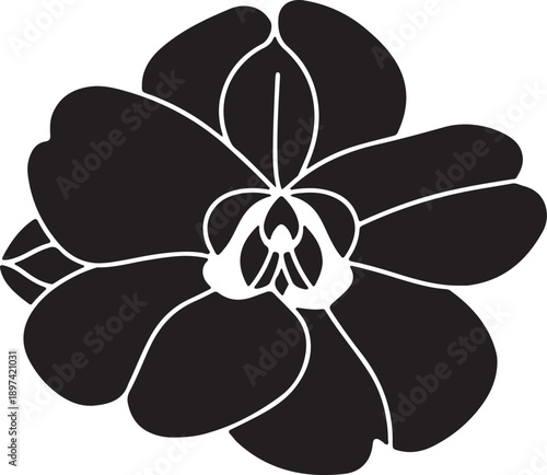Elegant black orchid silhouette with crisp white outlines, perfect for design and nature-themed projects.