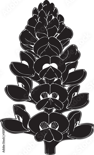 A striking black and white vector silhouette of a tall Baptisia flower spike, featuring intricate petal details and a stylized design.