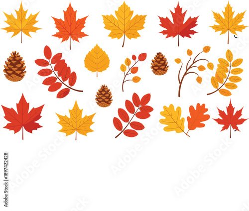 Autumn Leaves and Pine Cones Illustration Set Featuring Fall Foliage, Branches, and Seasonal Nature Elements for Decorative Design
