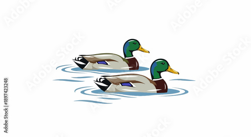 Two mallard ducks swim in rippling water, depicted with stylized colors and outlines