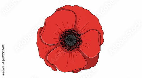 A vibrant red poppy, its delicate petals unfurling with an intricate dark center and radiating stamens