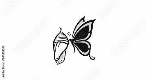 Butterfly emerges from chrysalis, symbolizing transformation and new beginnings