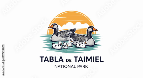 Family of geese and goslings swim in water with sunset and clouds in background