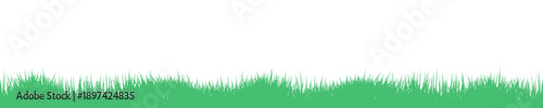 Seamless green grass silhouette, lawn border, field, meadow panorama, nature eco background