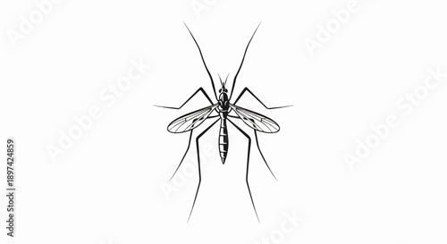 A detailed black and white illustration of a mosquito in flight
