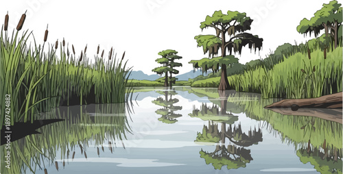 A serene wetland scene with lush reeds, cypress trees, and reflections