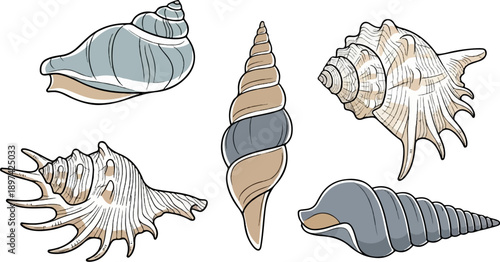 Collection of illustrated seashells in muted colors, diverse shapes and patterns
