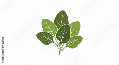 A cluster of vibrant green leaves with visible veins against a white background