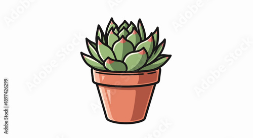 A stylized green succulent with pink-tipped leaves sits in a terracotta pot