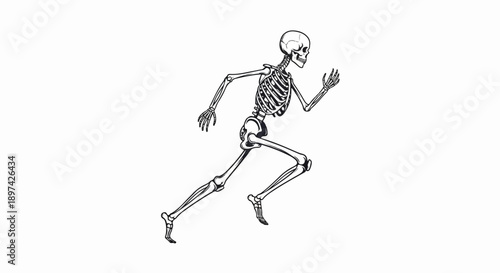 A monochrome skeletal figure in mid-stride on a white background