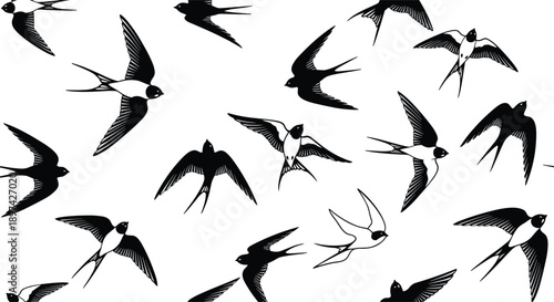 Collection of Detailed Black and White Silhouettes Featuring Many Swallows and Swifts Flying in Various Poses for Nature Wildlife and Freedom Designs