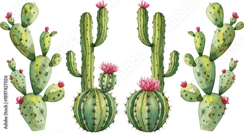 Watercolor cacti with vibrant pink blossoms scattered on a white background